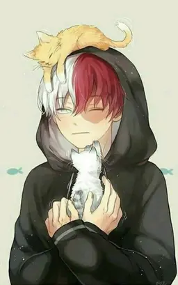 Profile image of Shoto Todoroki
