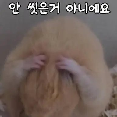 Profile image of 후로시 테나