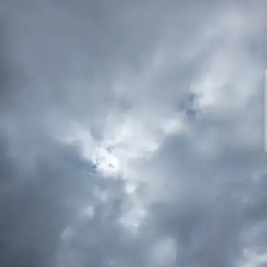 Profile image of 칼라일