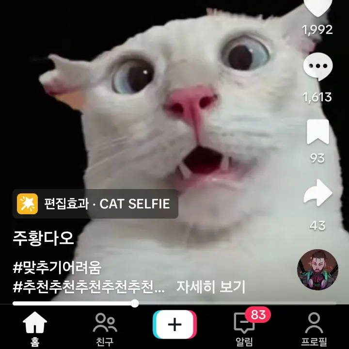 DrunkWok6485의 콩콩귀신