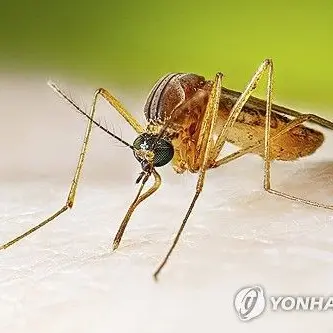 Profile image of 만드는 중인 놈