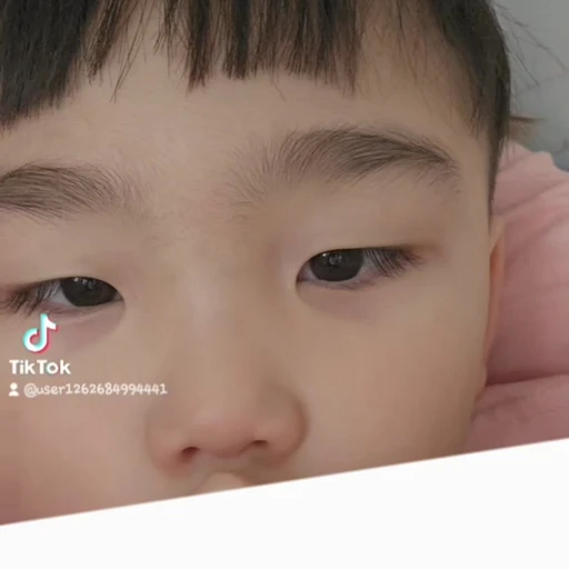 유림즈