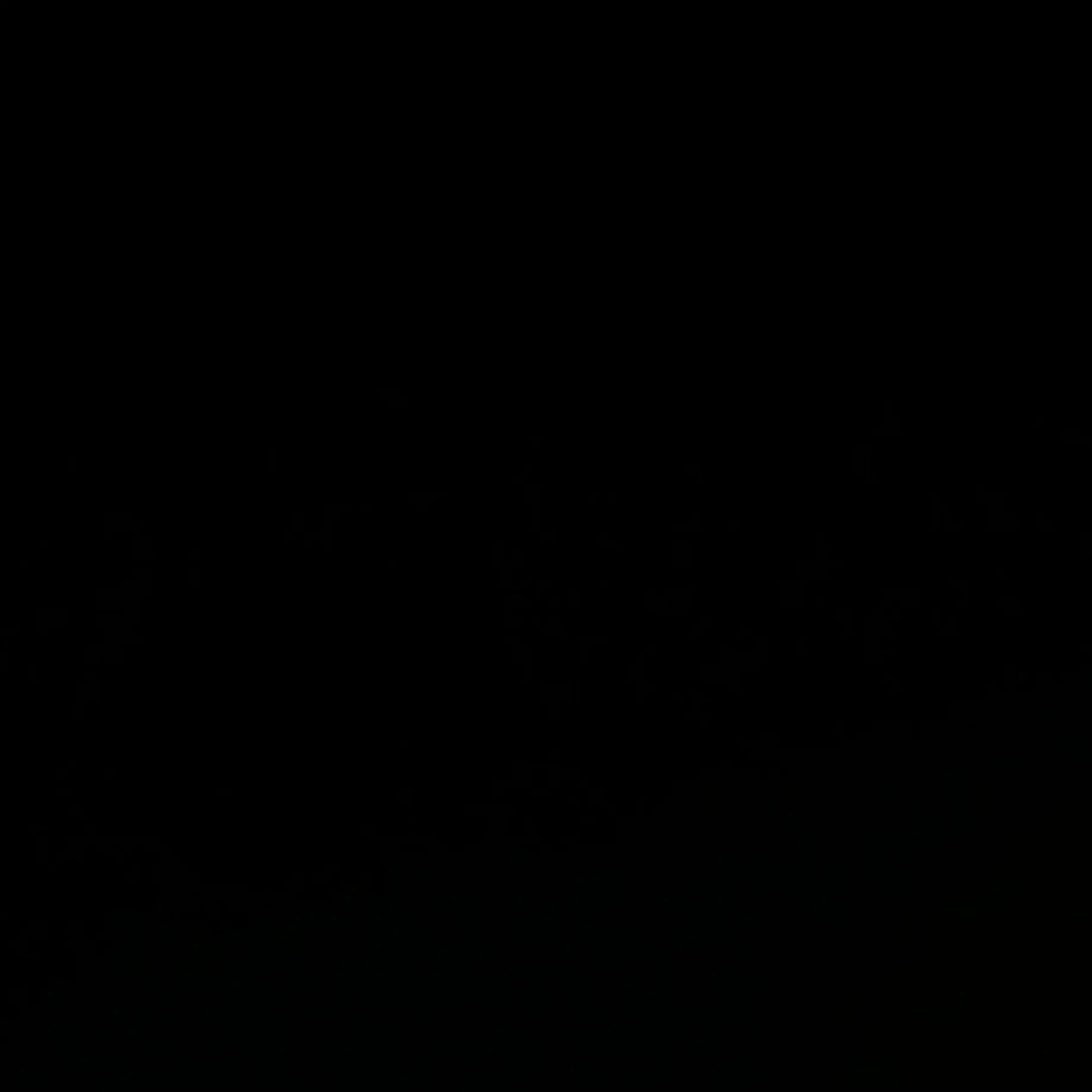 HuskyFlake1612의 에인