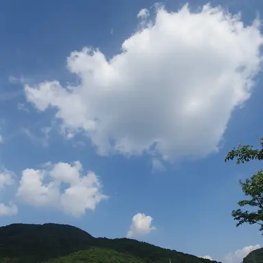 Profile image of 제타 사용