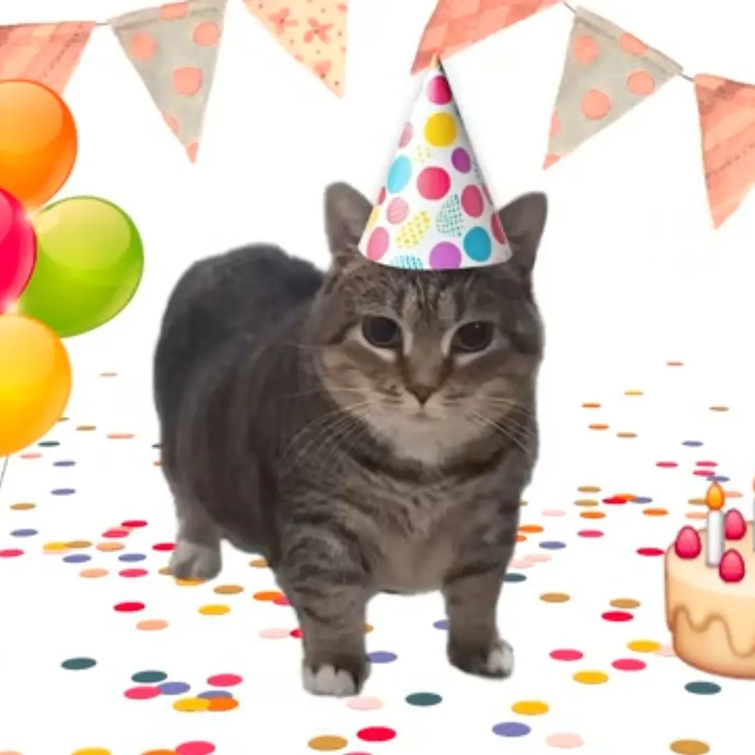 Muhahaha의 테스트