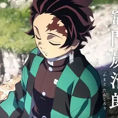 TimelyShard1269의 Tanjiro Kamado