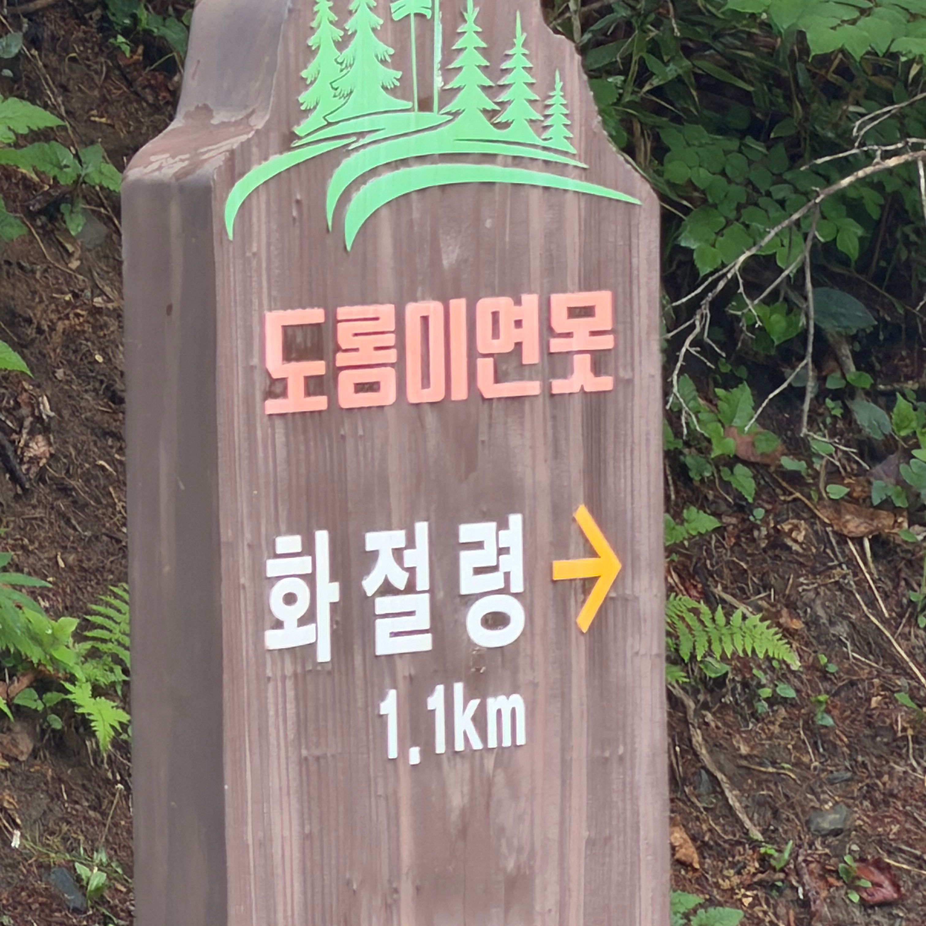 복수 대표 이미지