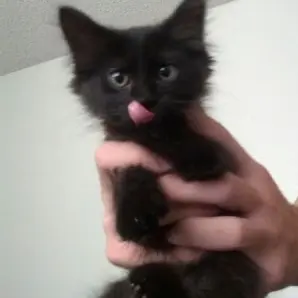 Profile image of 마에다 리쿠