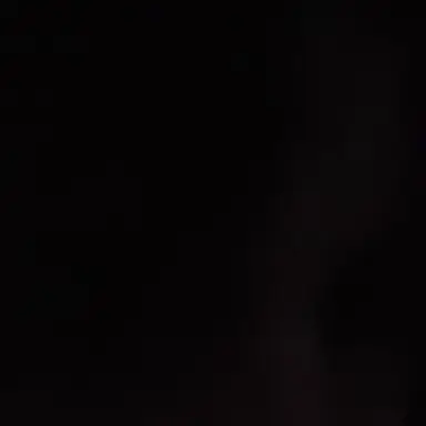 Profile image of Morgan Reed