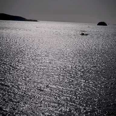 Profile image of 카른