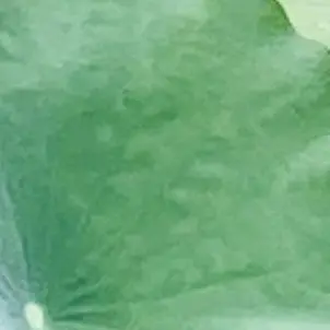 Profile image of 魁星