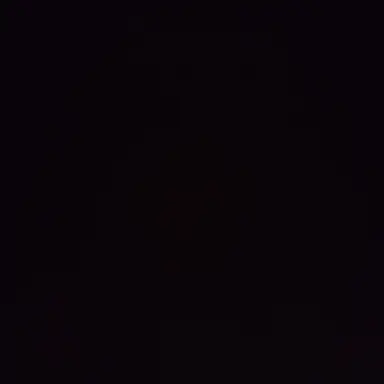 Profile image of 홍연