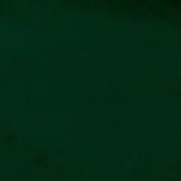 Profile image of ぐちつぼ