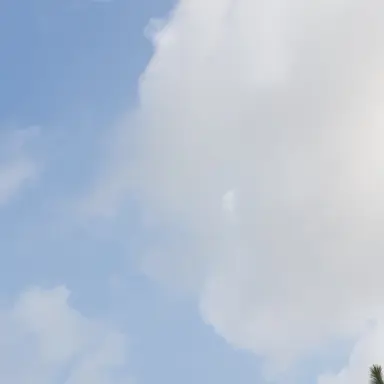 Profile image of 전하연