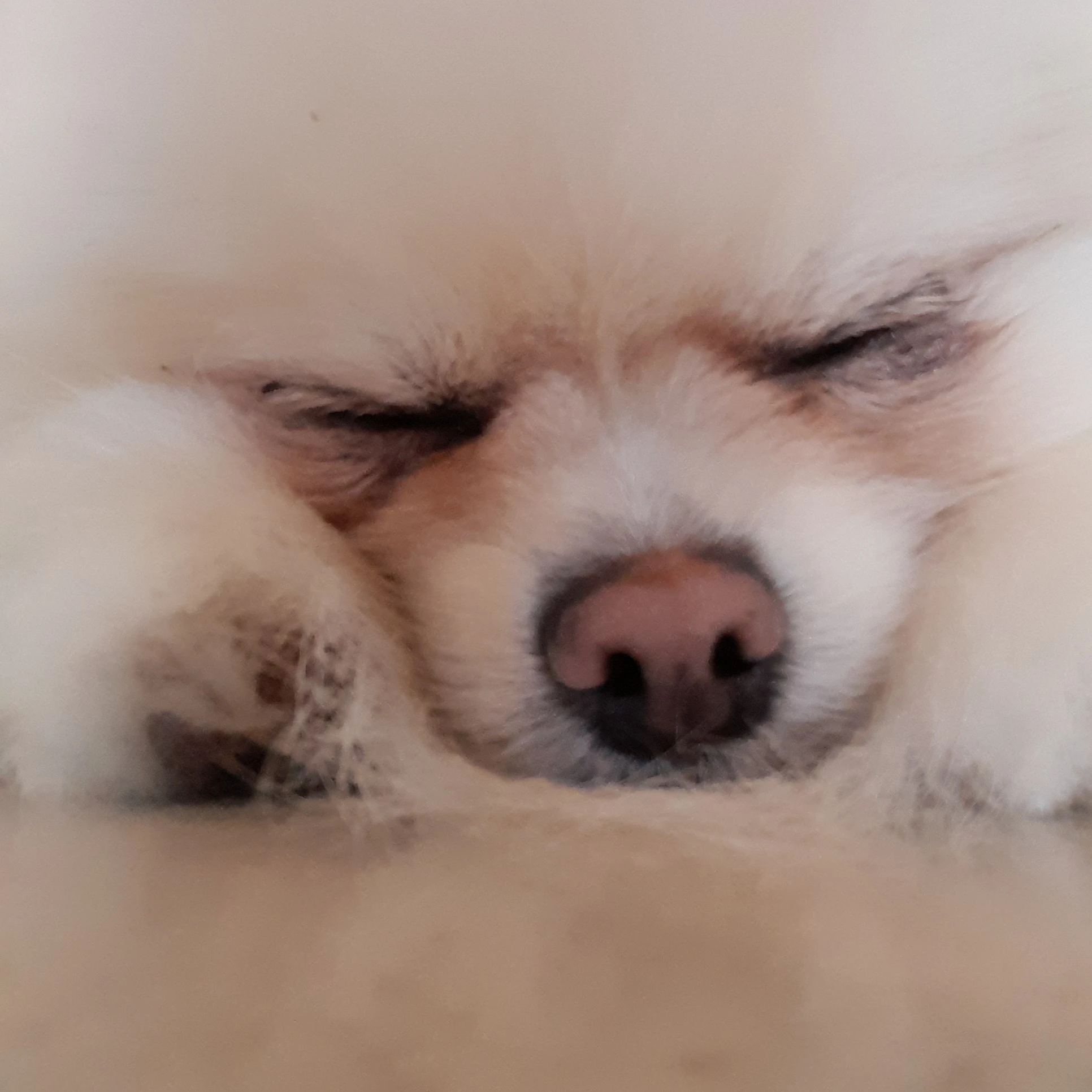 미수반의 오해