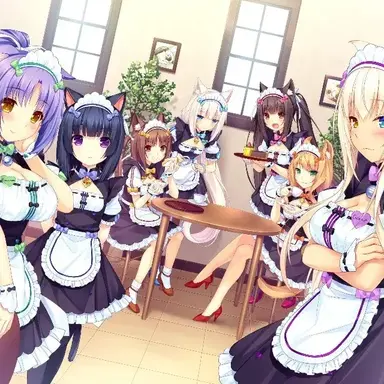 Profile image of You in the Nekopara Harem