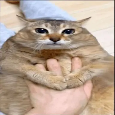 Profile image of Milly