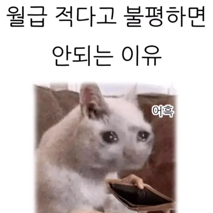 NeatTea8725의 파이어 인더 홀