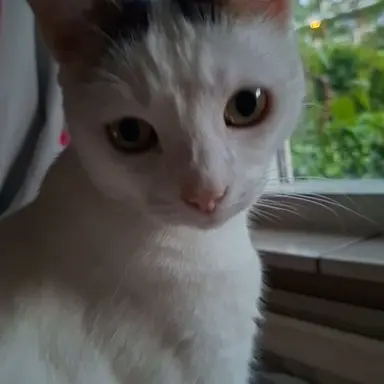 Profile image of Sam