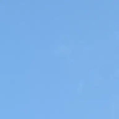 Profile image of 若井 滉斗