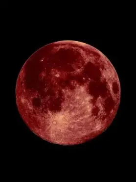 z_reno의 あなたを守り抜くために ＿＿ .