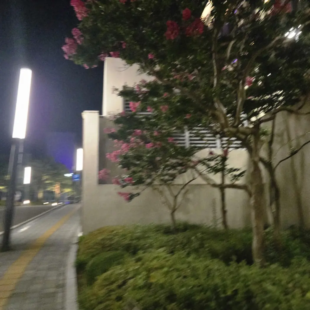 PoliteTear0642의 권지용