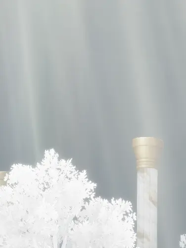 cheesecake0524의 君は生贄