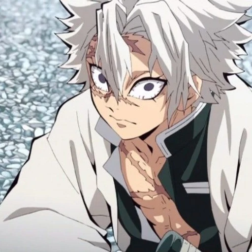 시나즈가와 사네미