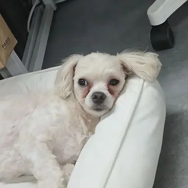 Profile image of 라떼