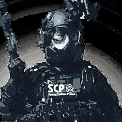 HugeCrab5711의 Scp NTF