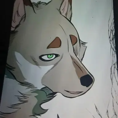 Profile image of 흰 돌