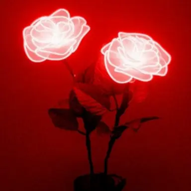 Profile image of 감제이