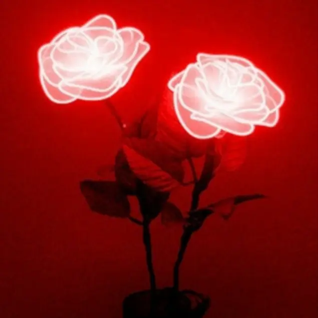 sincerebelle의 싸이코드 무리