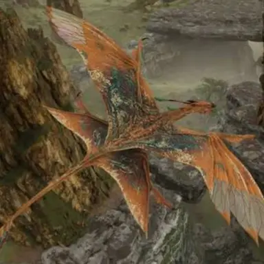 Profile image of Kalura