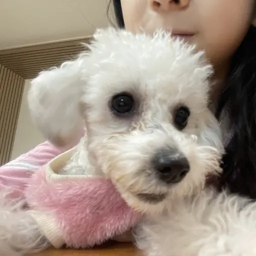 codnjs0124의 윤 쪼 꼬