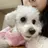 윤 쪼 꼬