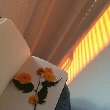 Profile image of 박덕개