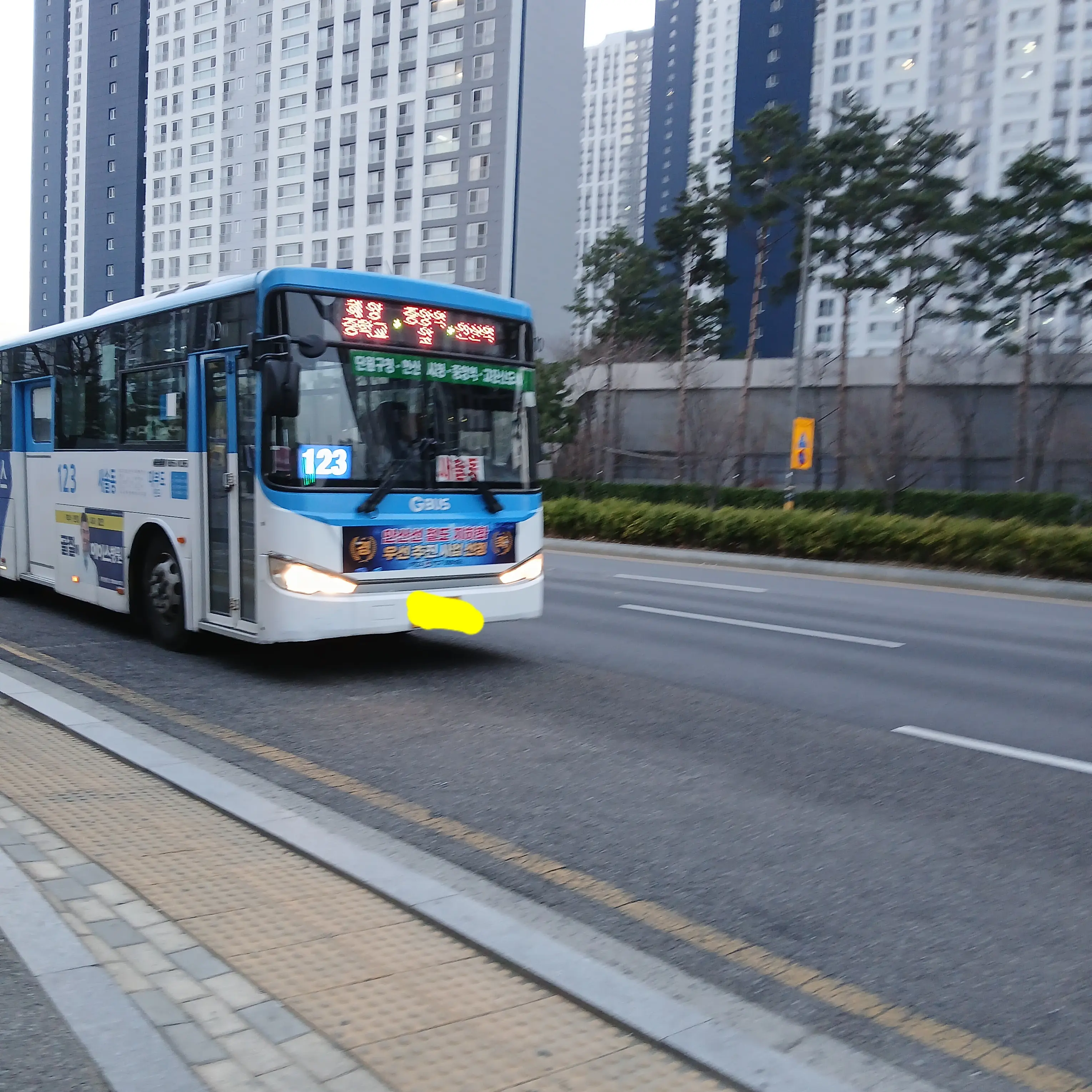 raon0222의 버스타기