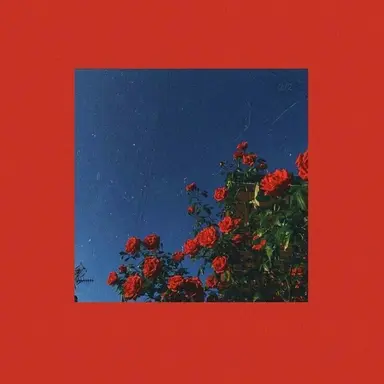 Profile image of 코요 템페스트