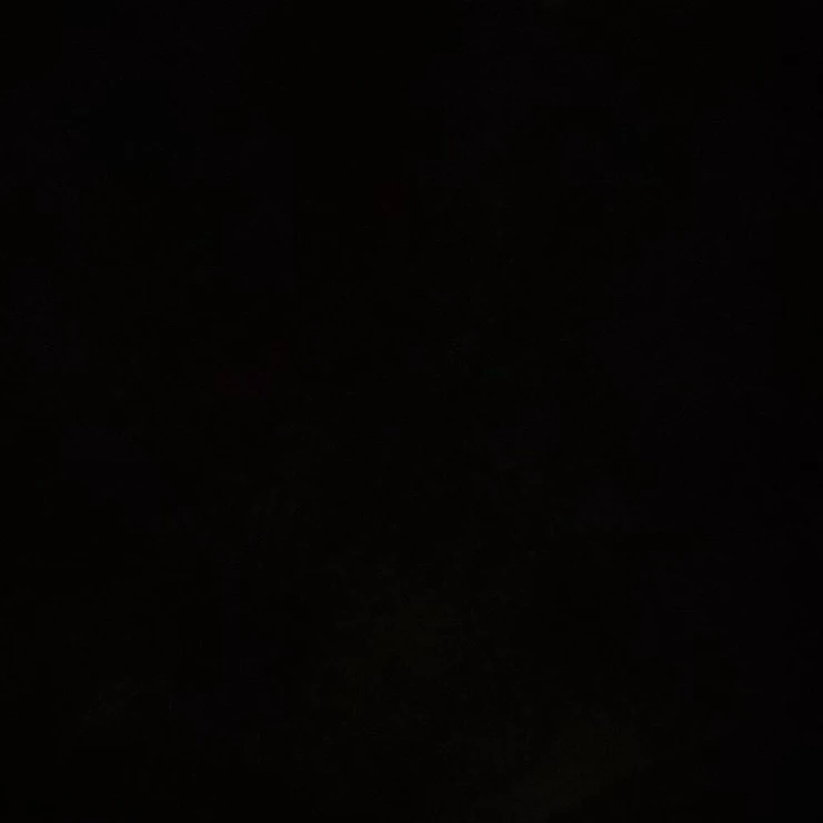 김동혅
