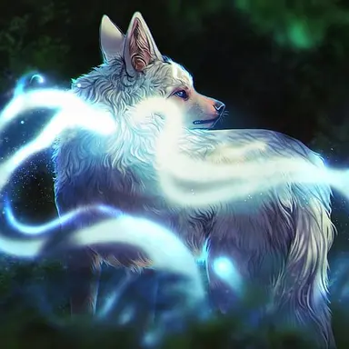 Profile image of 狐