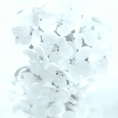 Profile image of 혜비