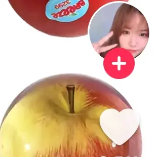 appl_123의 오징어학교- 5인6각 후속작