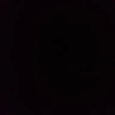 Profile image of 預流果