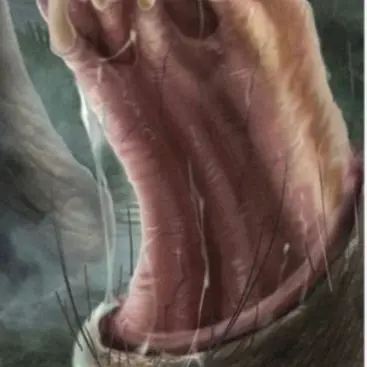Profile image of 카르닉소르디쿠스
