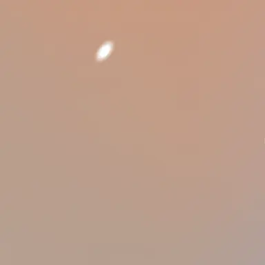 Profile image of ガレス