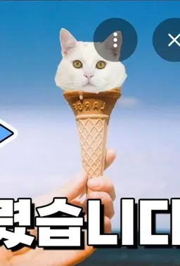 Profile image of 푸딩
