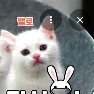 Profile image of 멜로