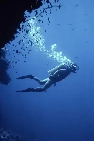 ExoticZebu4049의 Scuba diver