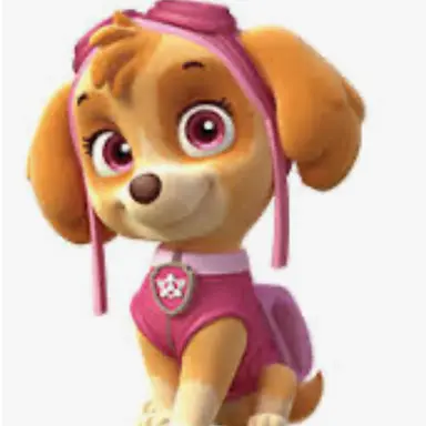 Profile image of スカイ